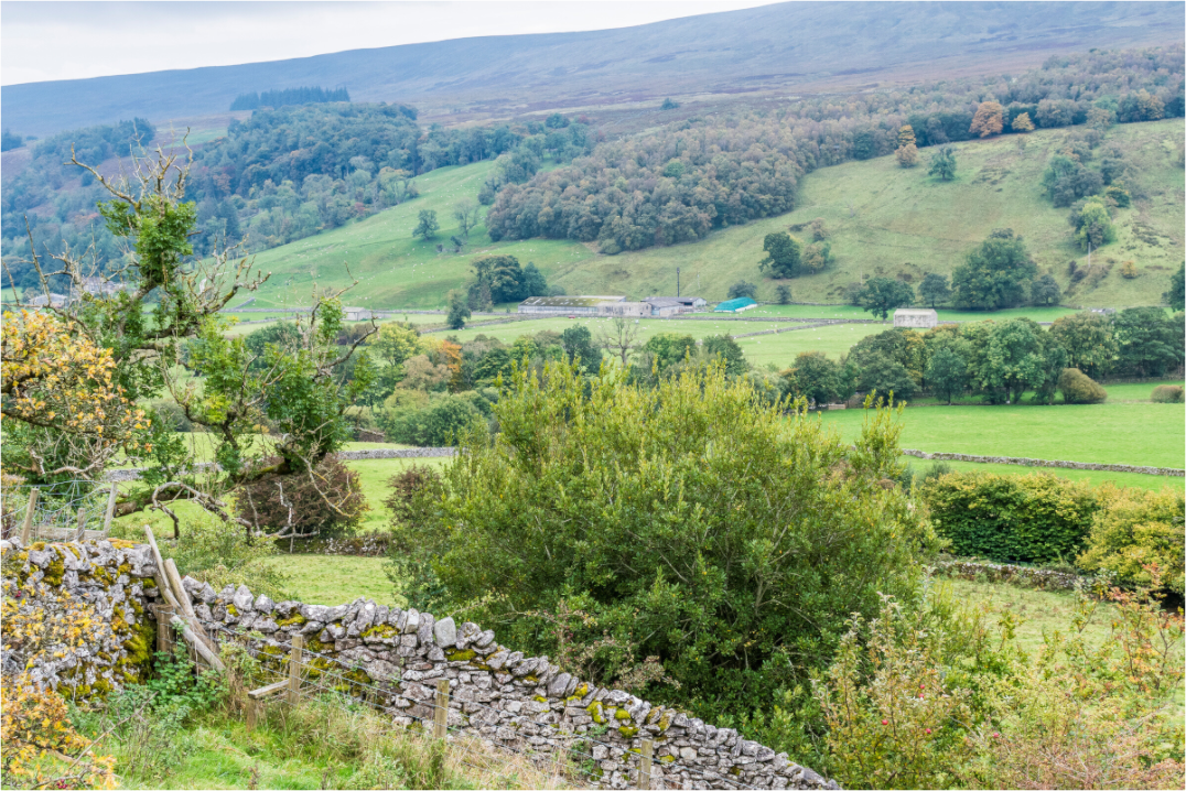A valley in the Yorkshire Dales with a dry stone wall in the foreground and a small farm in the distance.